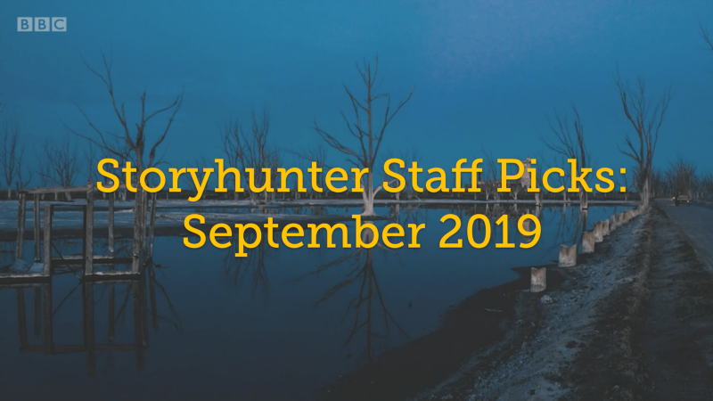 Storyhunter Staff Picks: September 2019