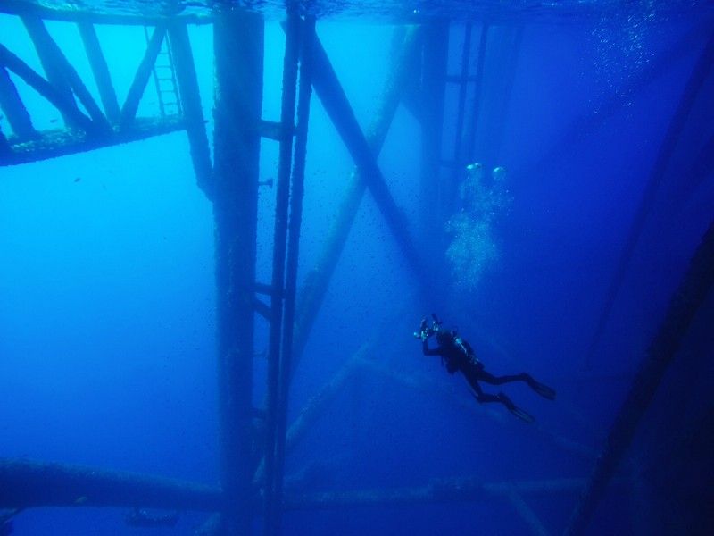 Award-Winning Journalist Erik Olsen Has Underwater Storytelling In His “Genetic Code”